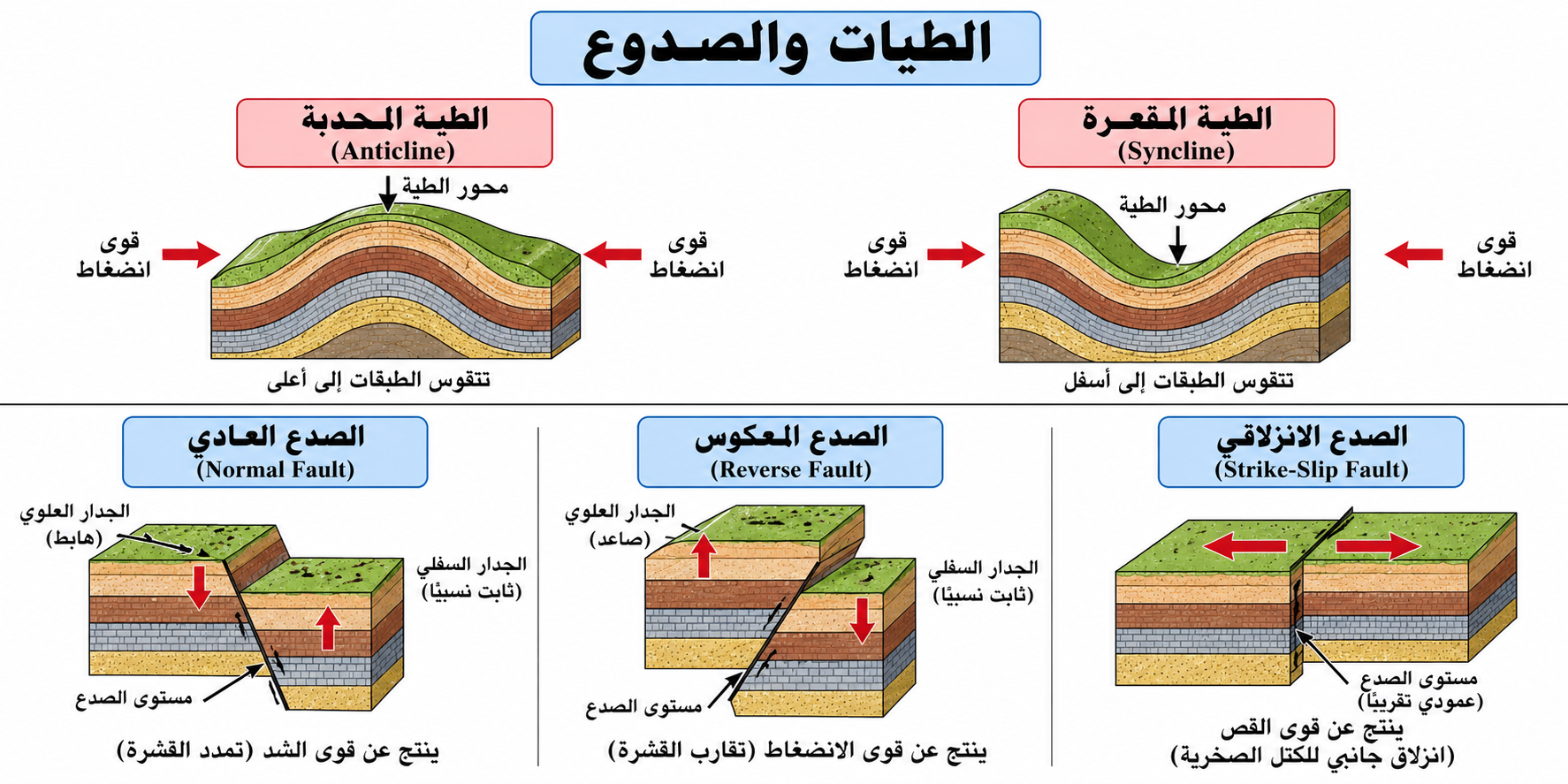 الطيات والصدوع