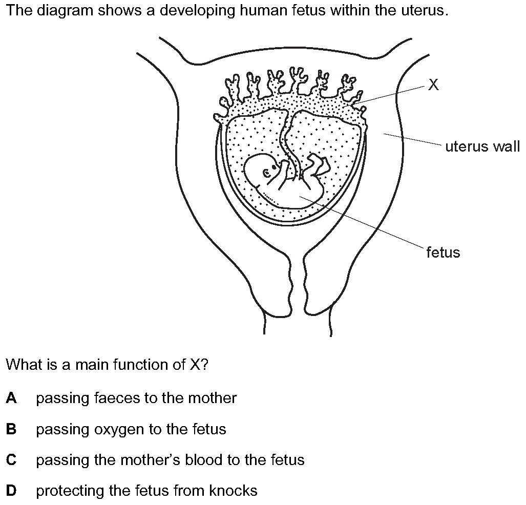 Question 2 - Dr Khaled Dabour Academy