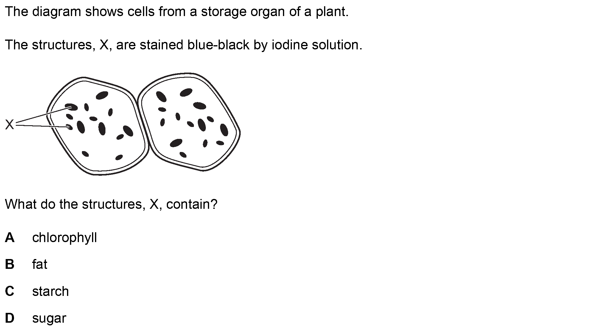 Question 3 - Dr Khaled Dabour Academy