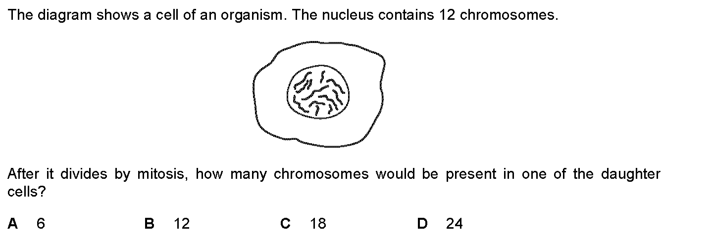 Question 1 - Dr Khaled Dabour Academy