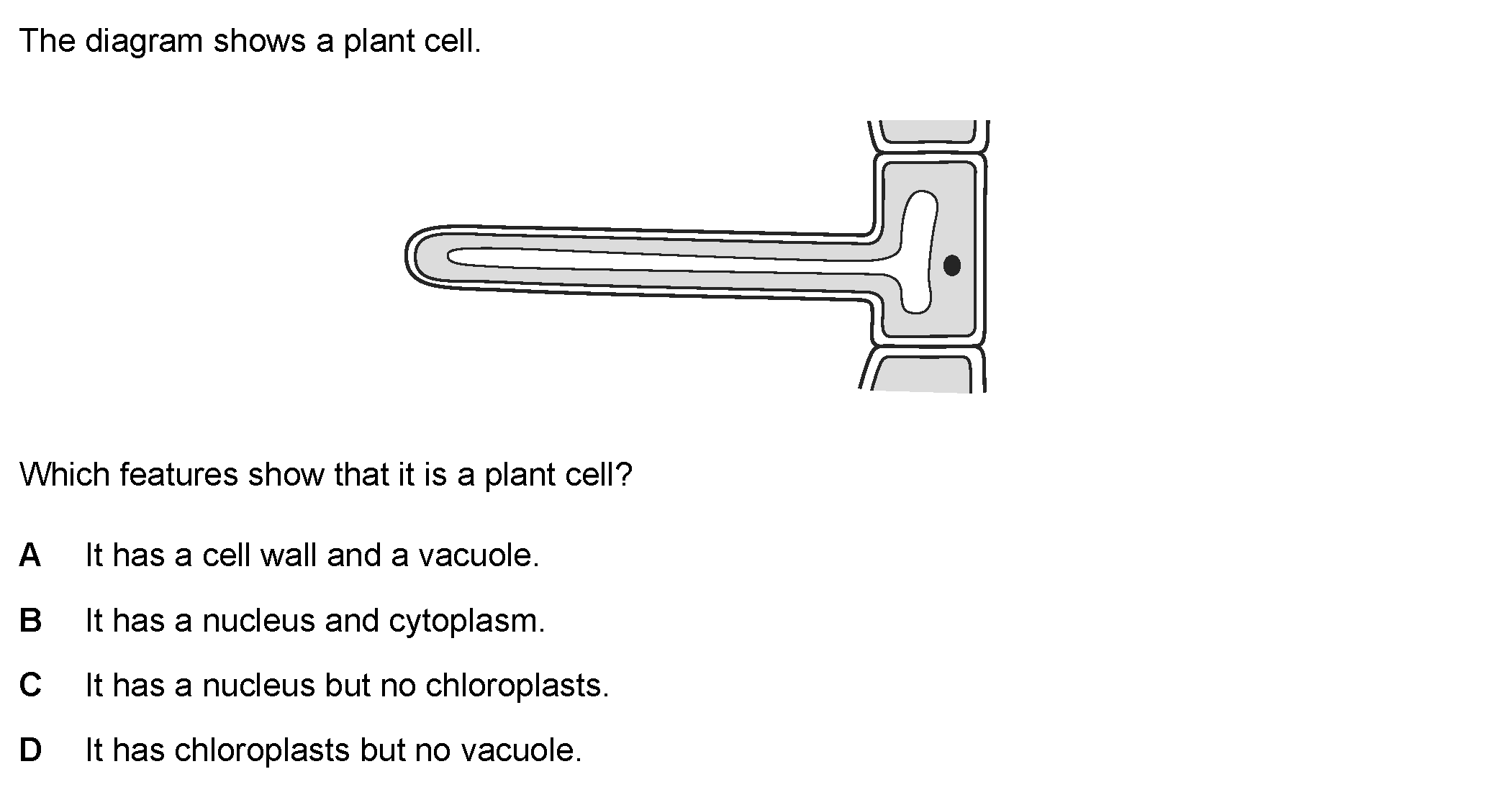 Question 1 - Dr Khaled Dabour Academy