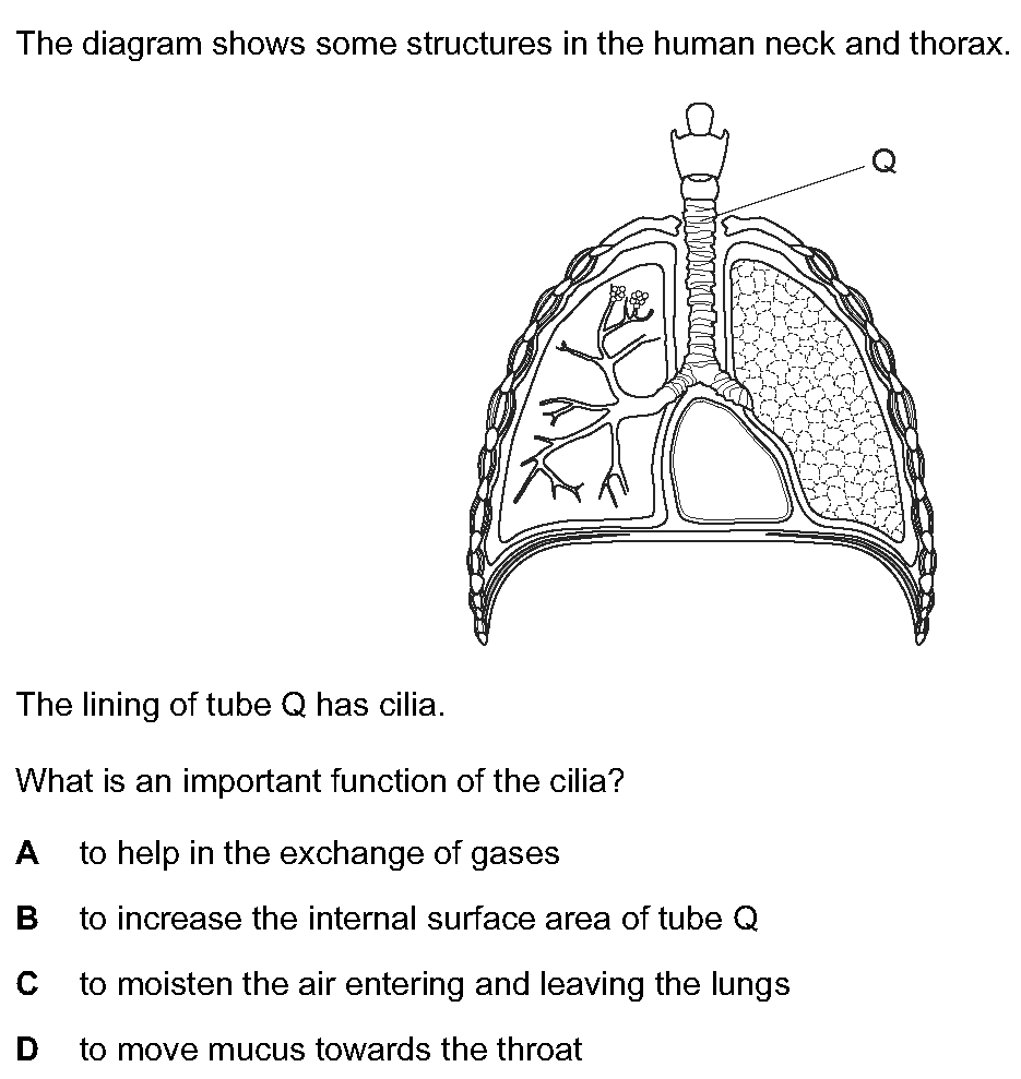 Question 8 - Dr Khaled Dabour Academy