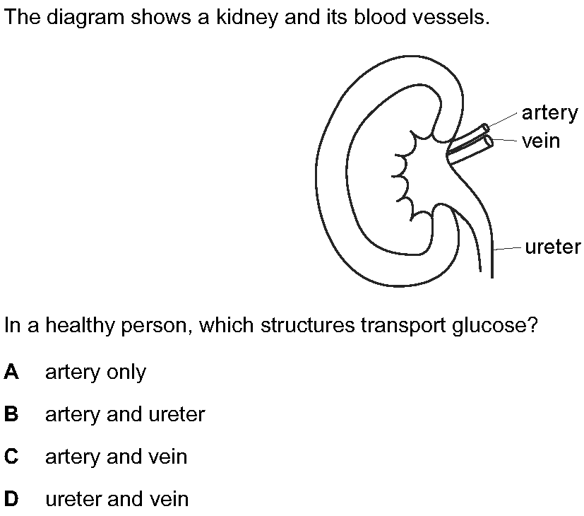 Question 21 - Dr Khaled Dabour Academy