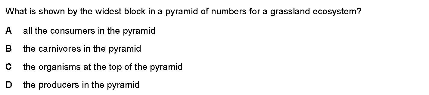 Question 7 - Dr Khaled Dabour Academy