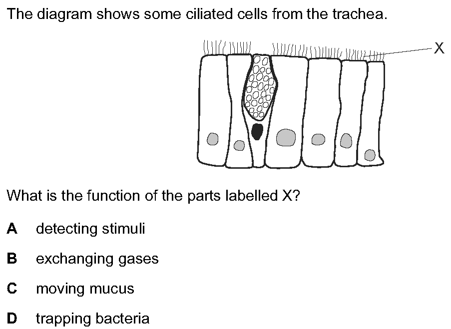 Question 6 - Dr Khaled Dabour Academy