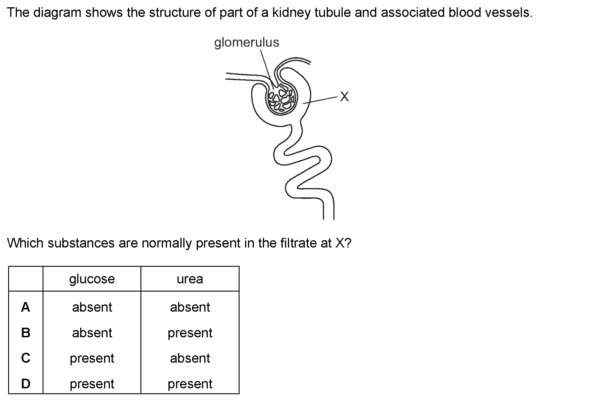 Question 19 - Dr Khaled Dabour Academy
