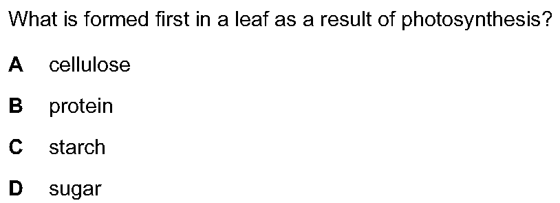 Question 10 - Dr Khaled Dabour Academy