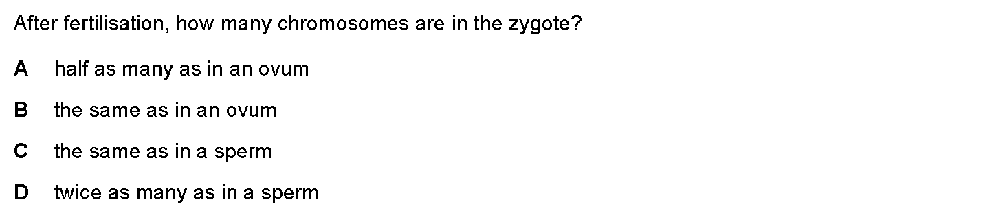 Question 5 - Dr Khaled Dabour Academy