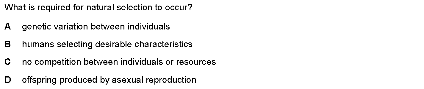 Question 3 - Dr Khaled Dabour Academy