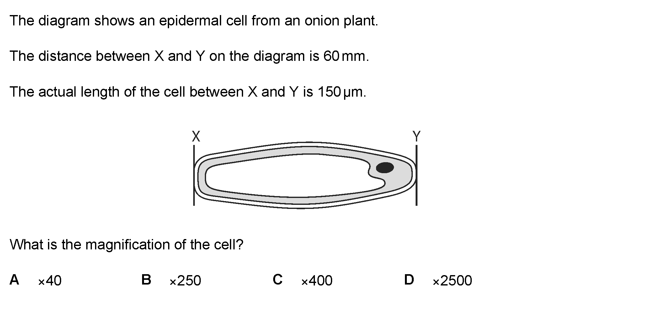 Question 6 - Dr Khaled Dabour Academy