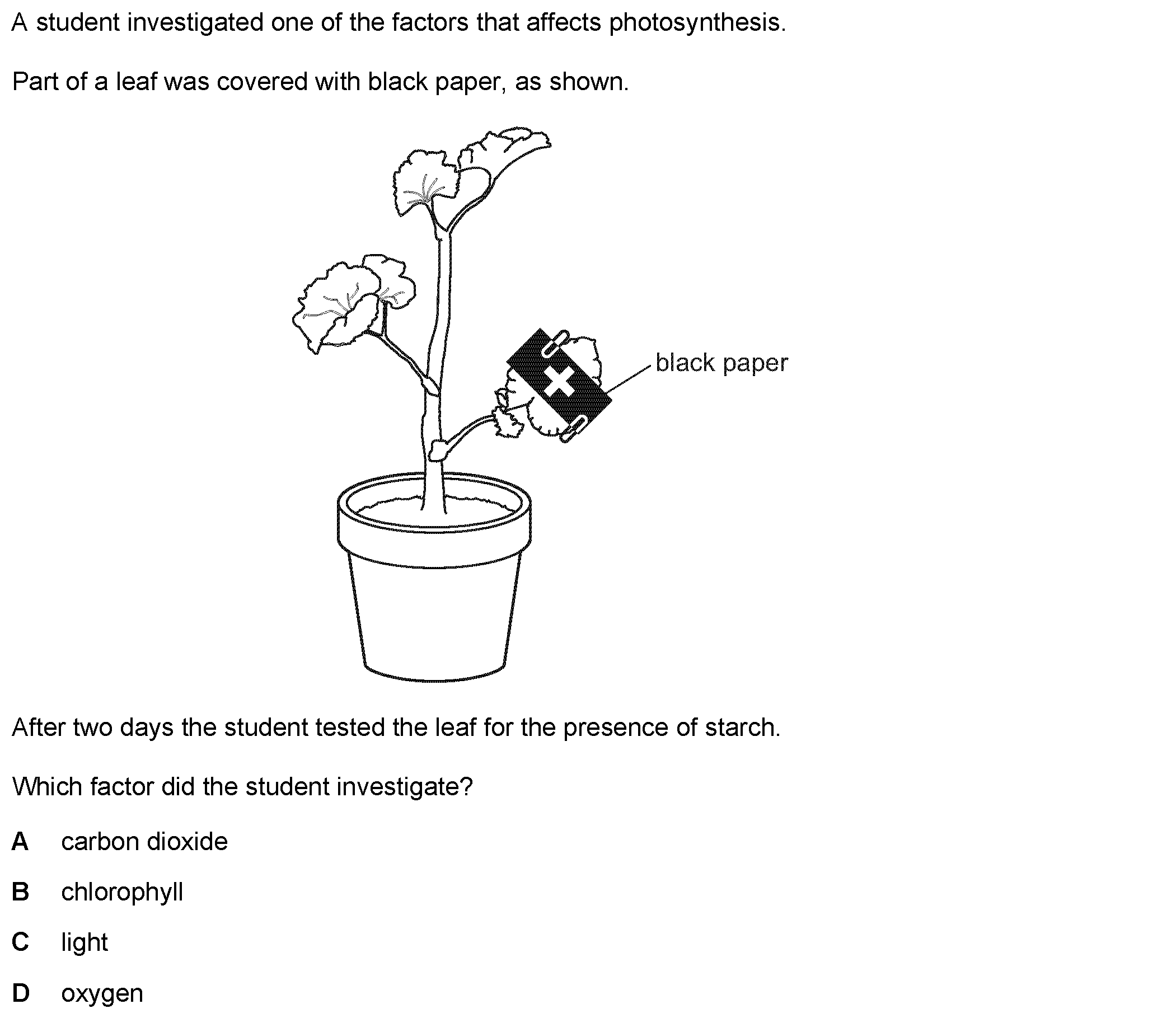 Question 6 - Dr Khaled Dabour Academy