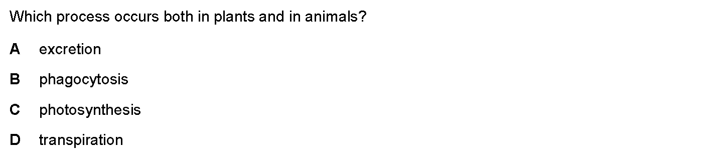 Question 11 - Dr Khaled Dabour Academy