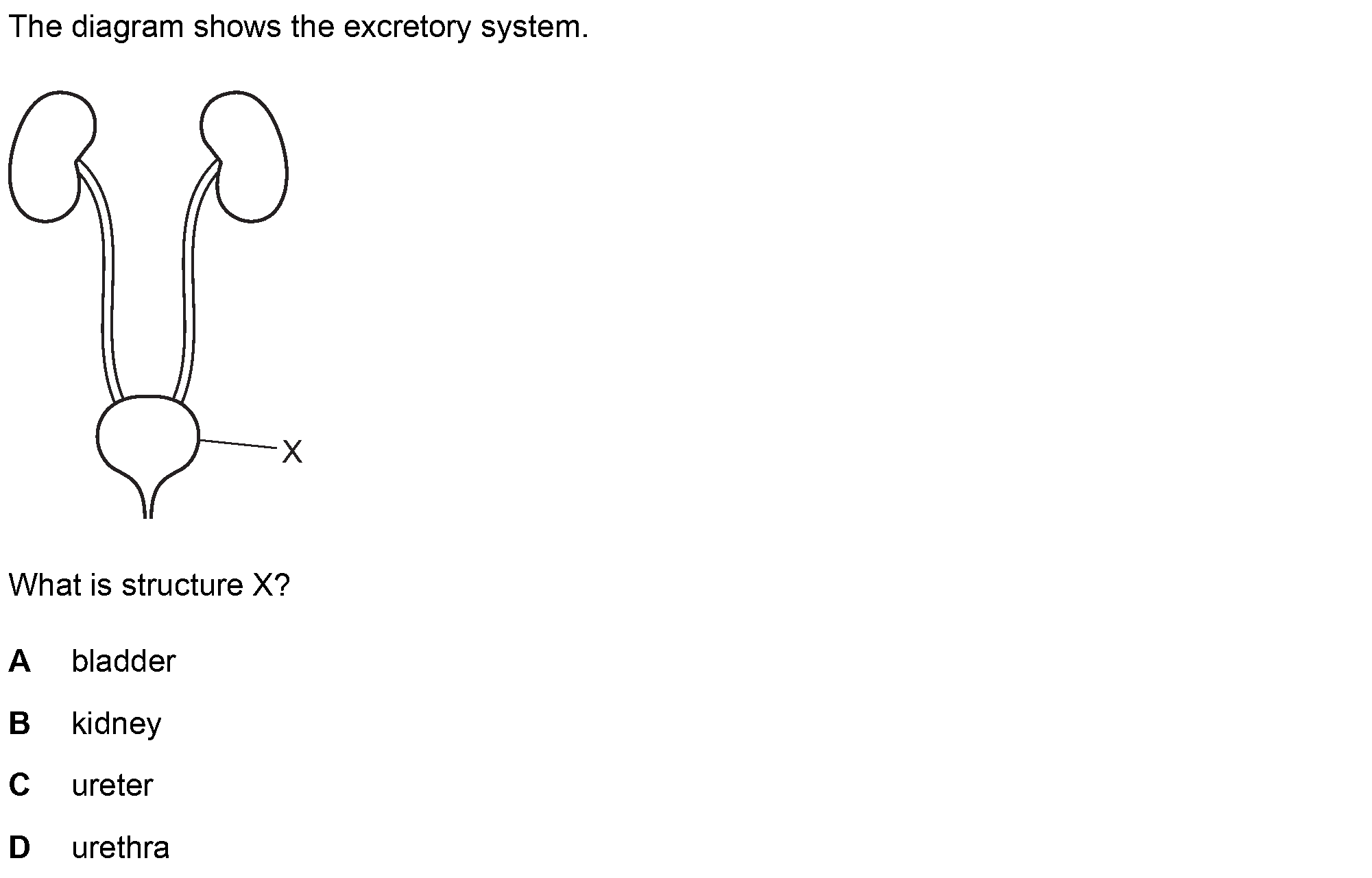 Question 4 - Dr Khaled Dabour Academy