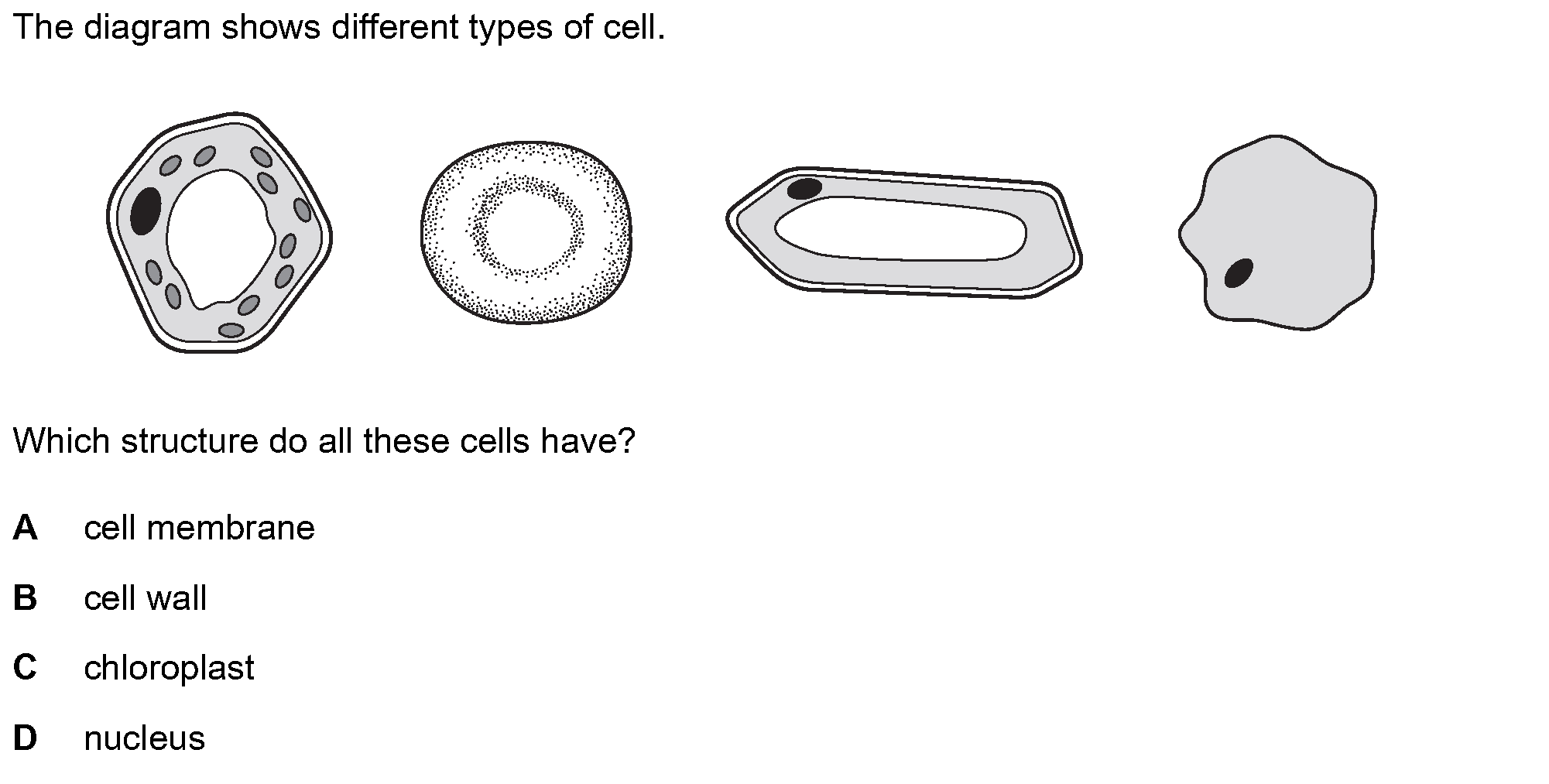 Question 4 - Dr Khaled Dabour Academy
