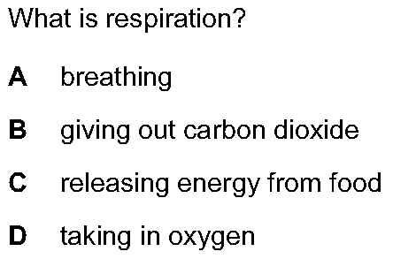 Question 7 - Dr Khaled Dabour Academy