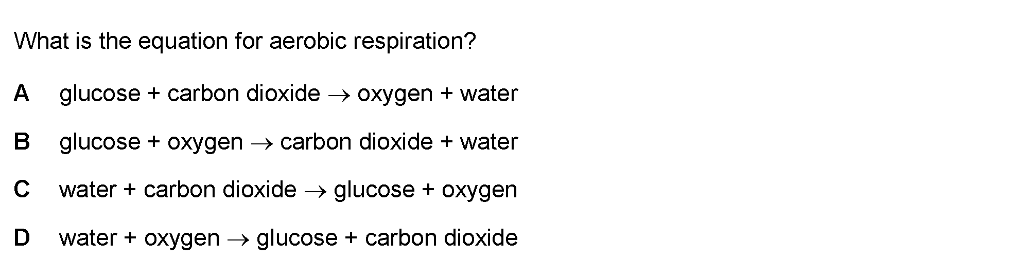 Question 11 - Dr Khaled Dabour Academy