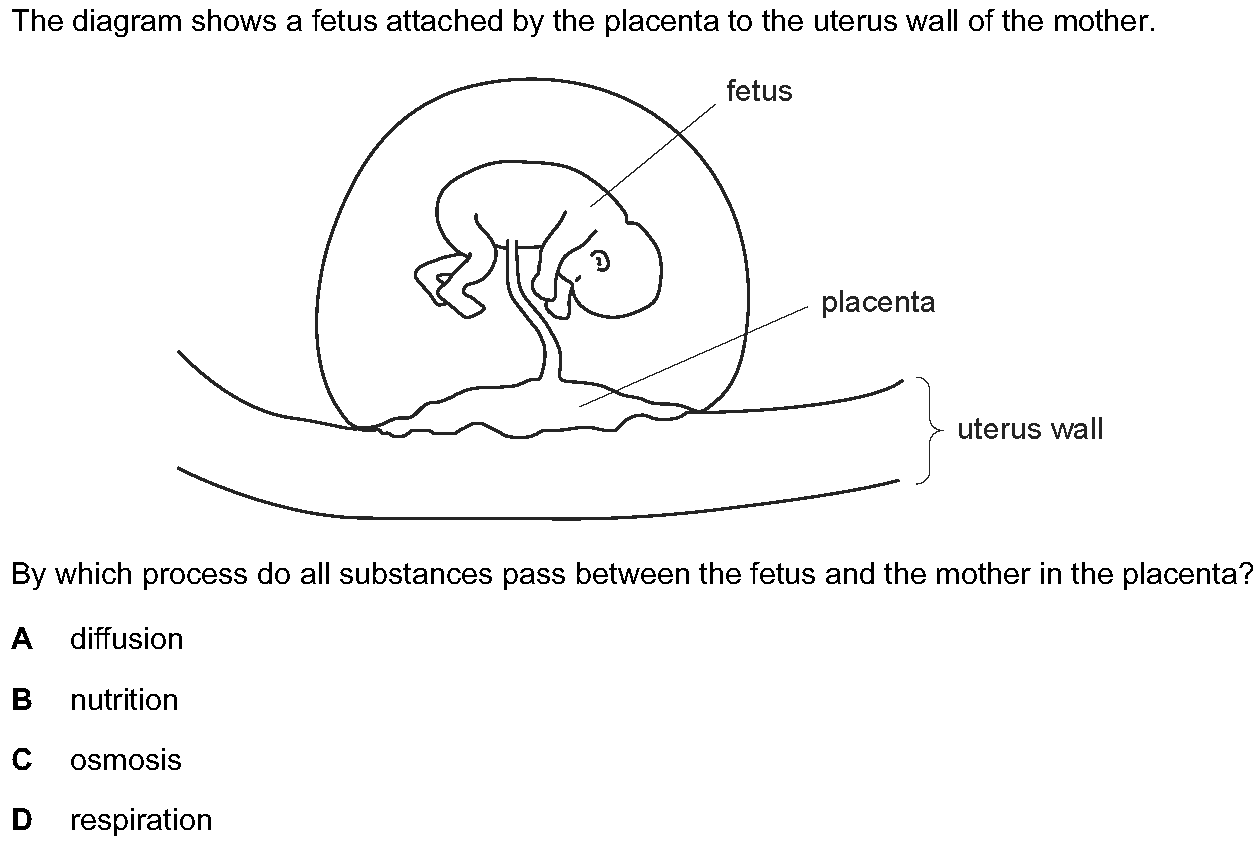 Question 6 - Dr Khaled Dabour Academy