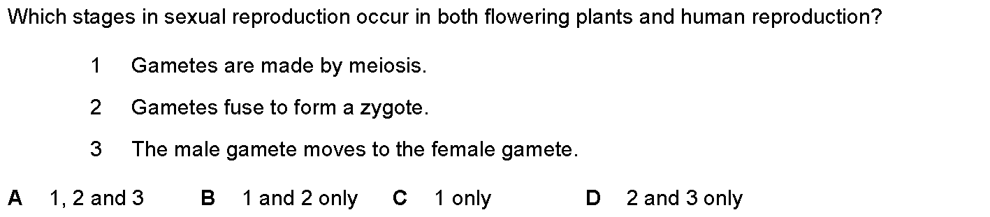 Question 11 - Dr Khaled Dabour Academy