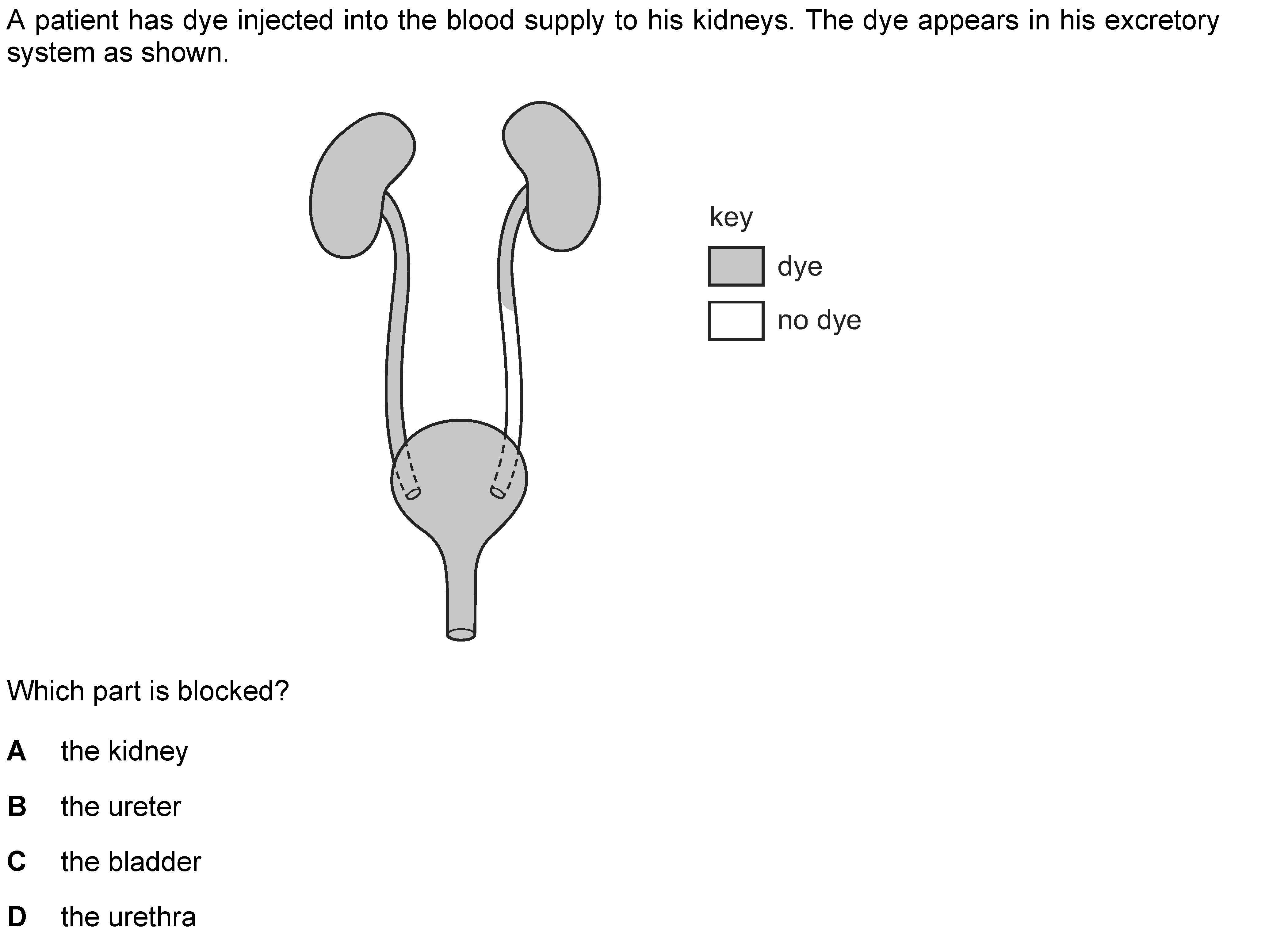Question 1 - Dr Khaled Dabour Academy