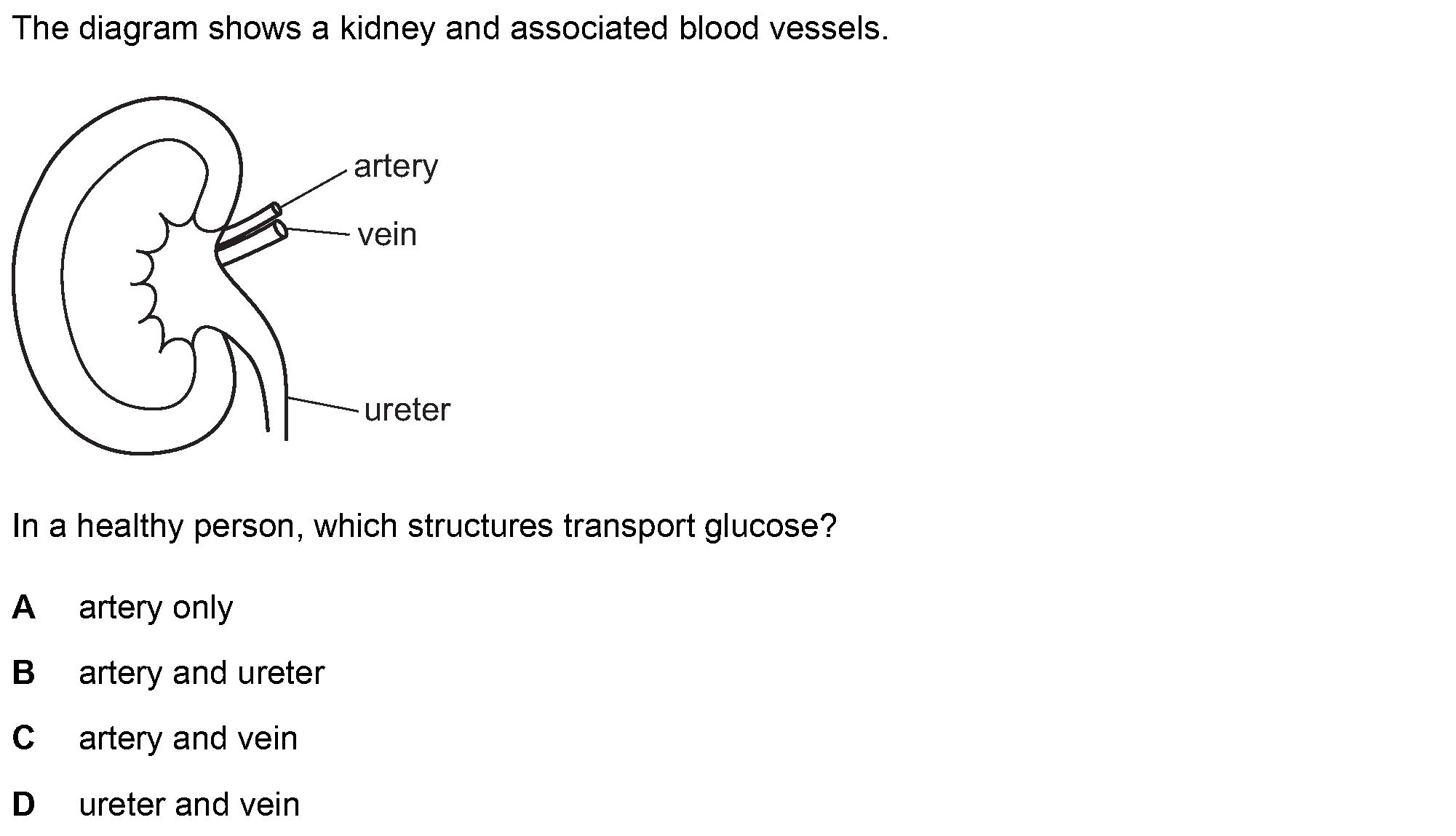 Question 16 - Dr Khaled Dabour Academy