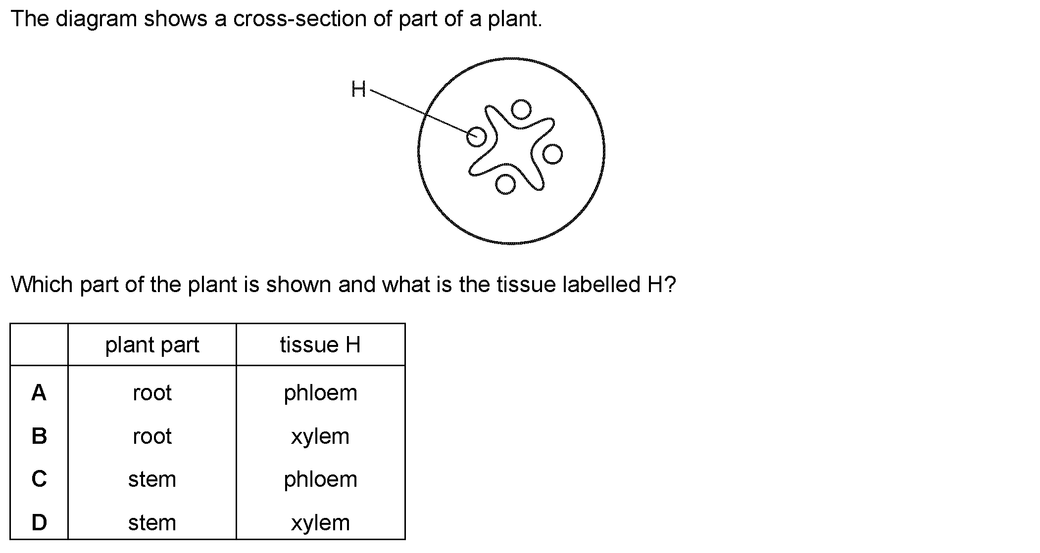 Question 11 - Dr Khaled Dabour Academy