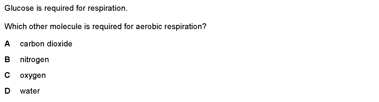Question 19 - Dr Khaled Dabour Academy