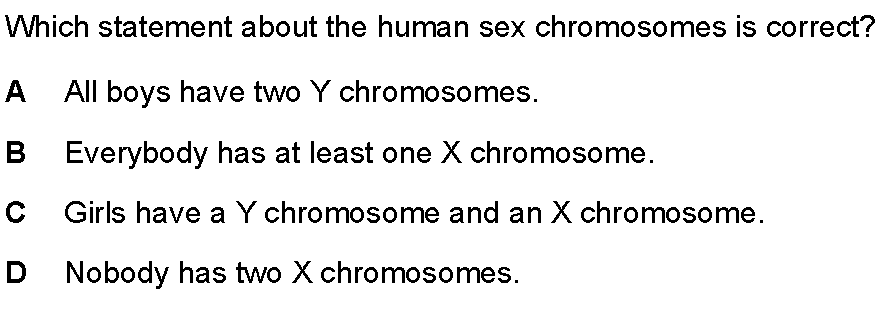 Question 16 - Dr Khaled Dabour Academy