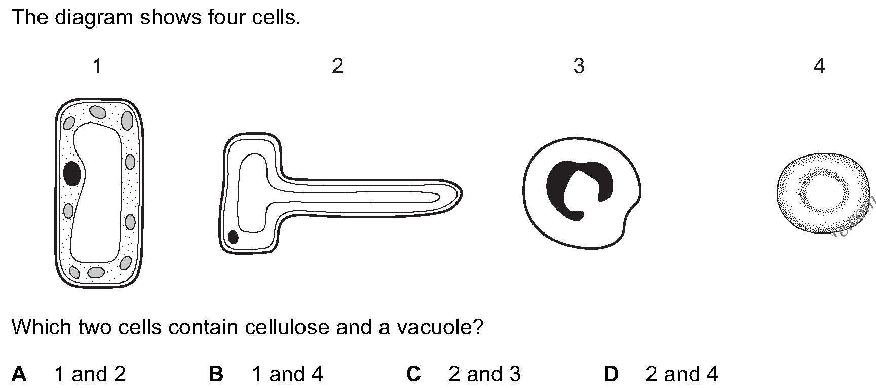 Question 4 - Dr Khaled Dabour Academy