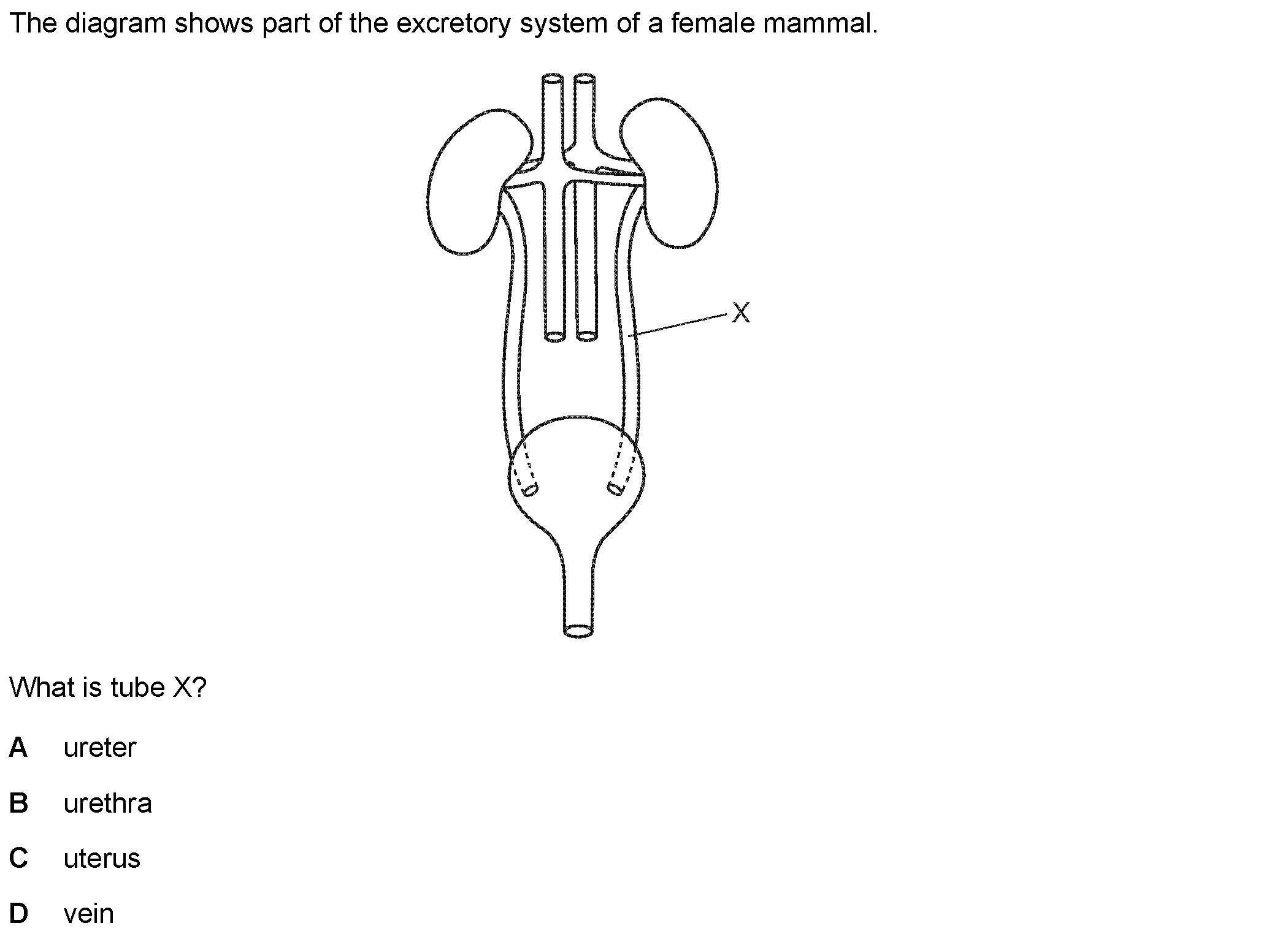 Question 20 - Dr Khaled Dabour Academy