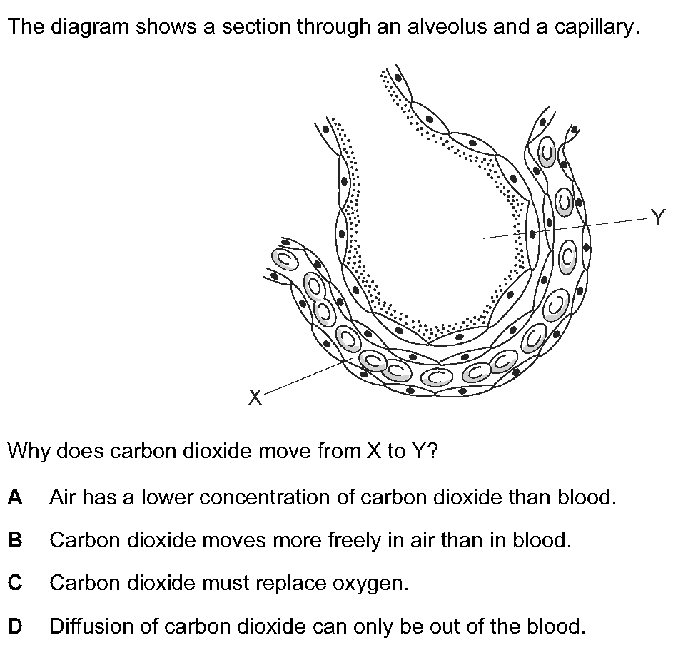 Question 2 - Dr Khaled Dabour Academy