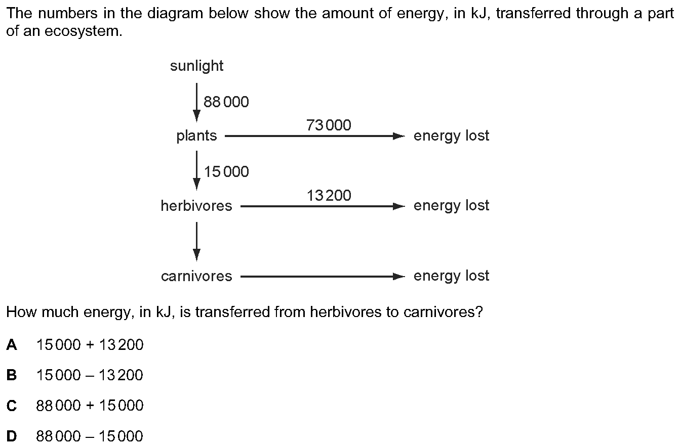 Question 7 - Dr Khaled Dabour Academy