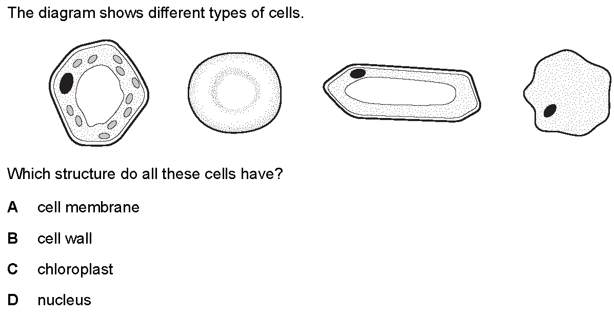 Question 1 - Dr Khaled Dabour Academy