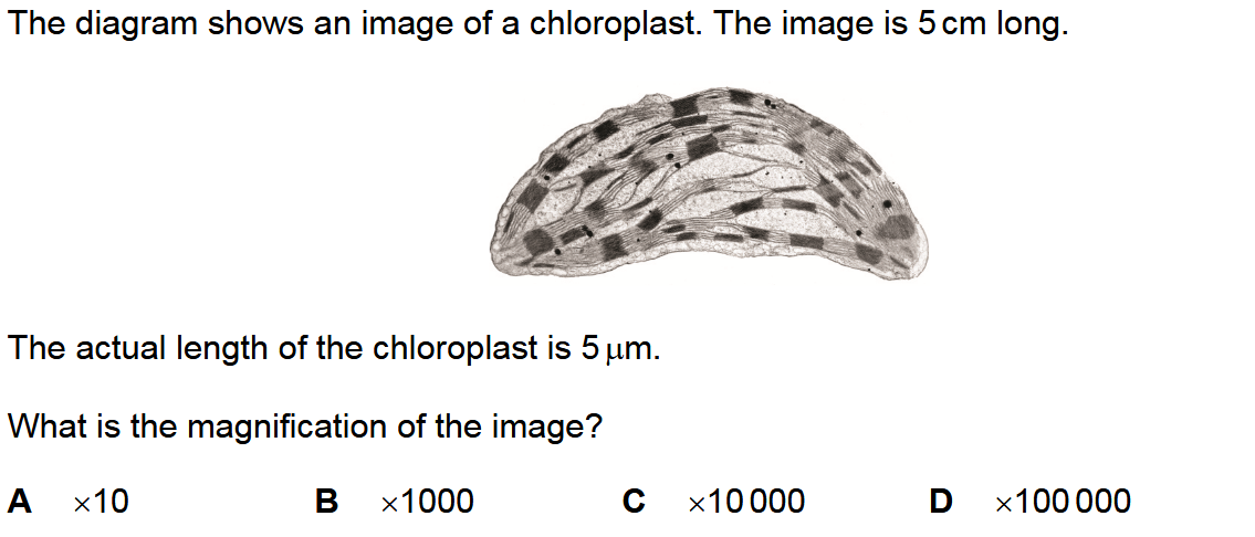 Question 5 - Dr Khaled Dabour Academy