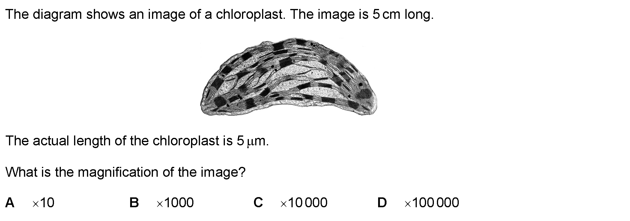 Question 7 - Dr Khaled Dabour Academy
