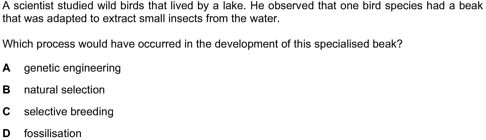 Question 8 - Dr Khaled Dabour Academy