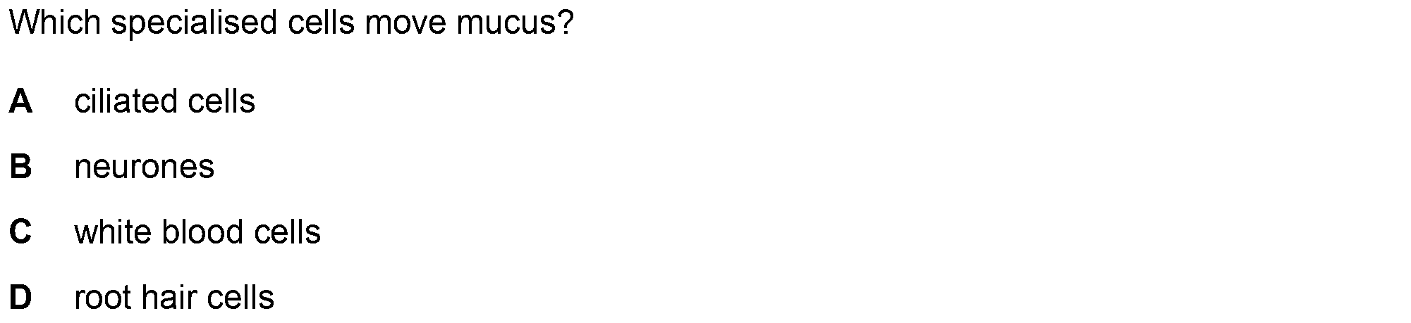 Question 3 - Dr Khaled Dabour Academy