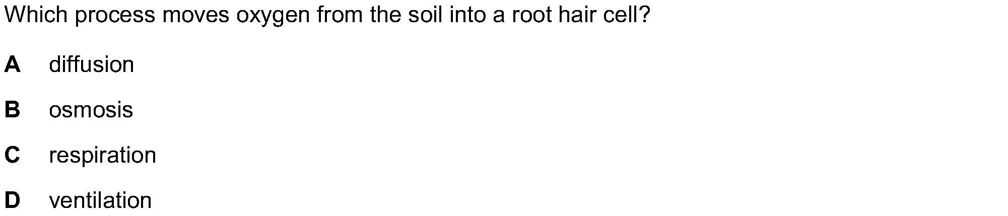 Question 13 - Dr Khaled Dabour Academy