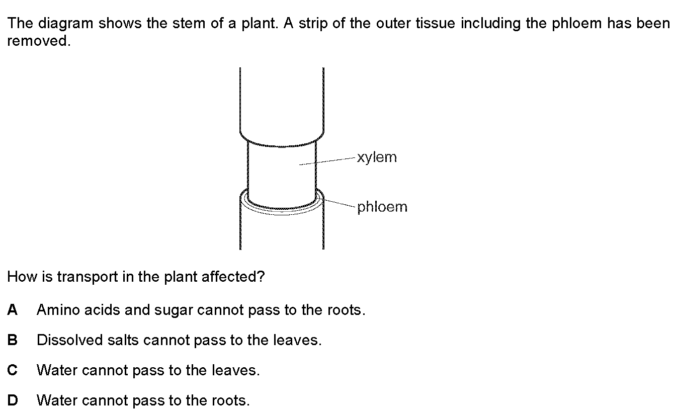 Question 1 - Dr Khaled Dabour Academy