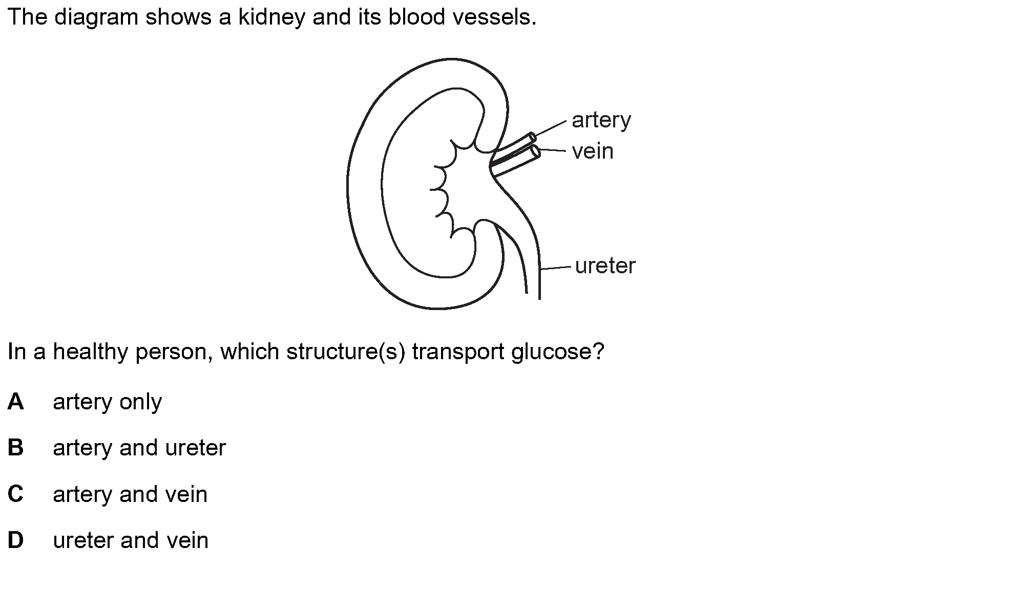Question 10 - Dr Khaled Dabour Academy