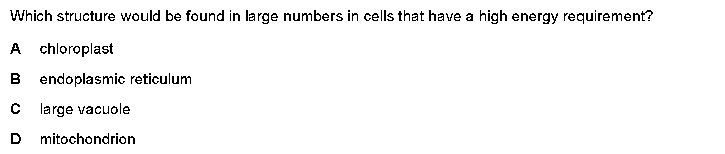 Question 6 - Dr Khaled Dabour Academy