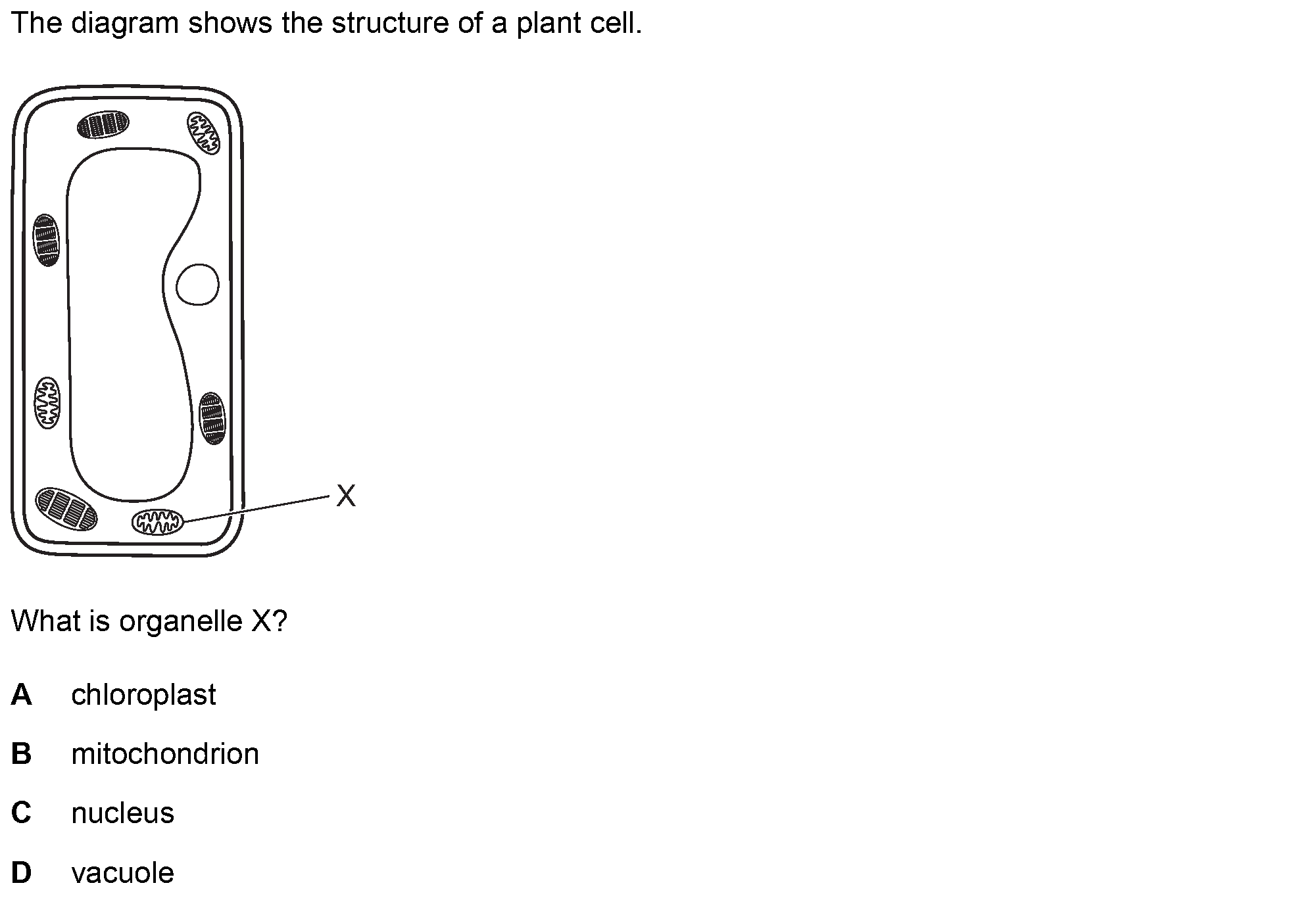 Question 3 - Dr Khaled Dabour Academy