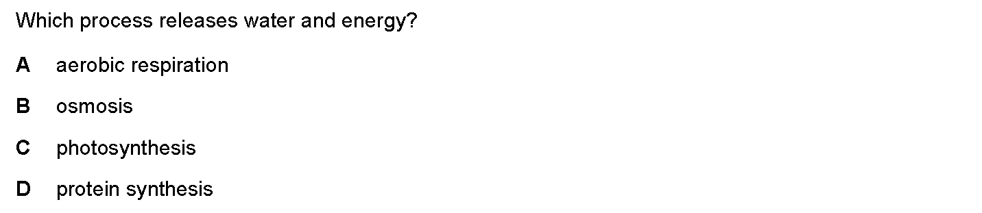 Question 2 - Dr Khaled Dabour Academy