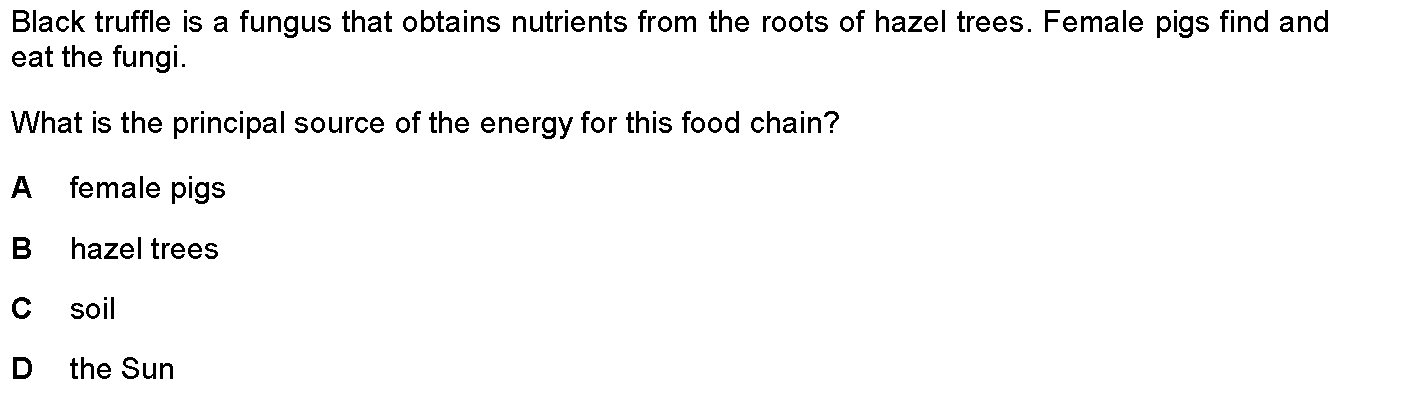Question 1 - Dr Khaled Dabour Academy