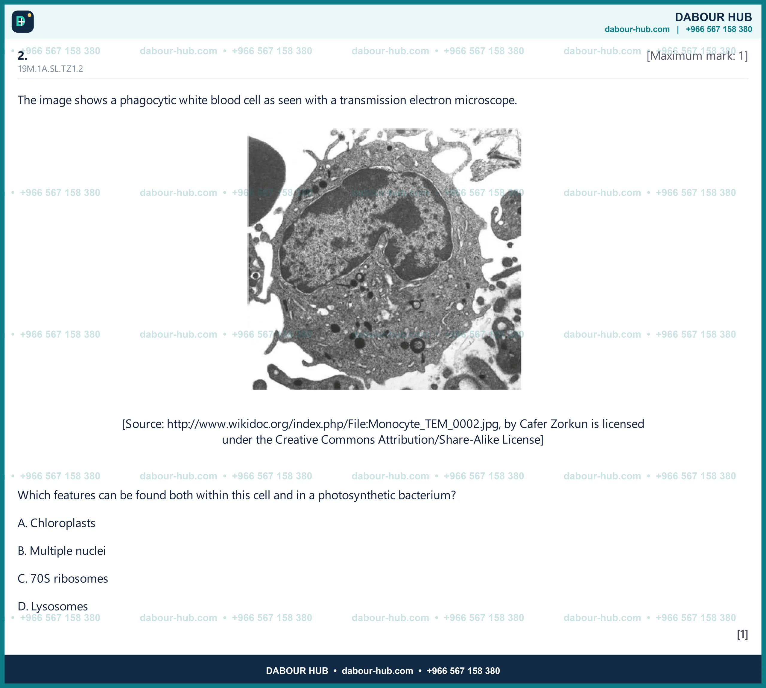 Dr Dabour Hub Science Diagram and Course Material