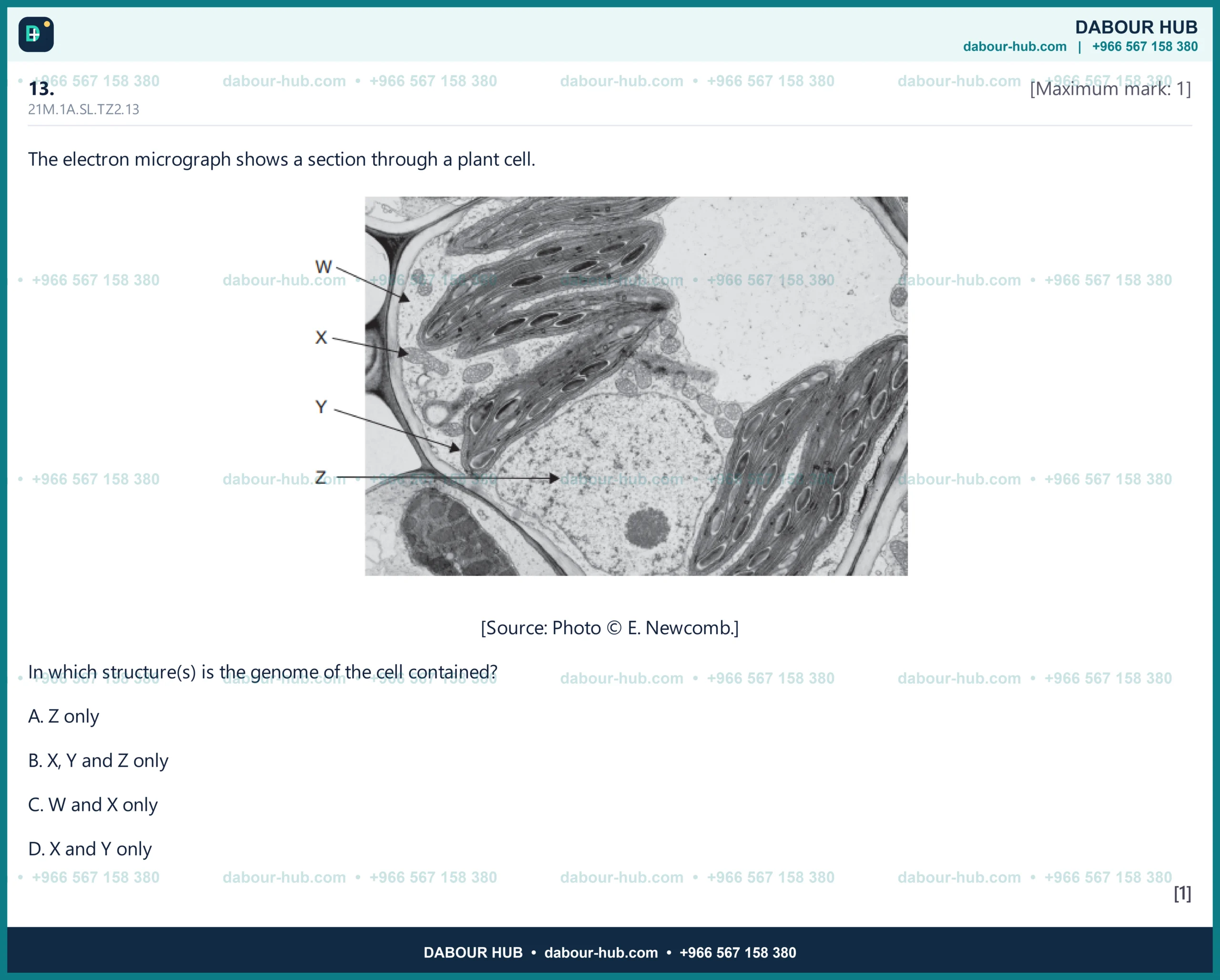 Dr Dabour Hub Science Diagram and Course Material