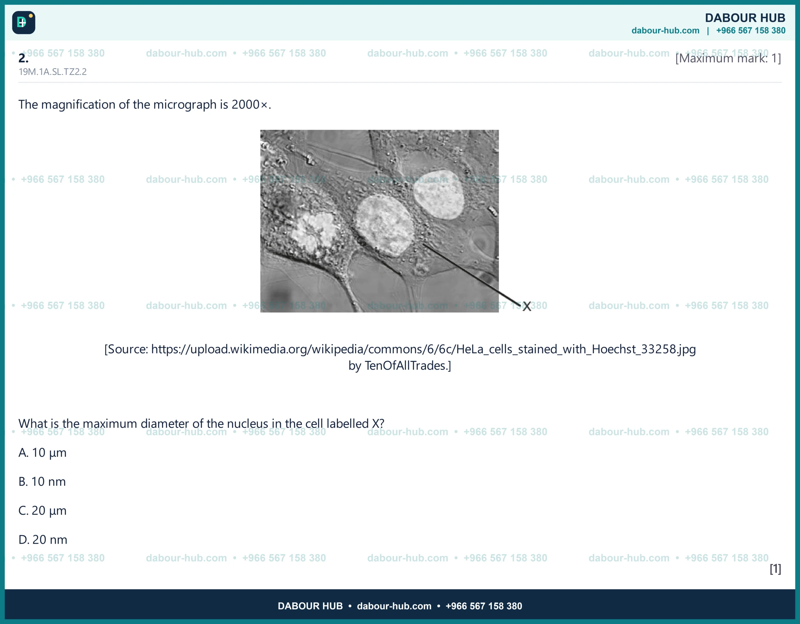 Dr Dabour Hub Science Diagram and Course Material