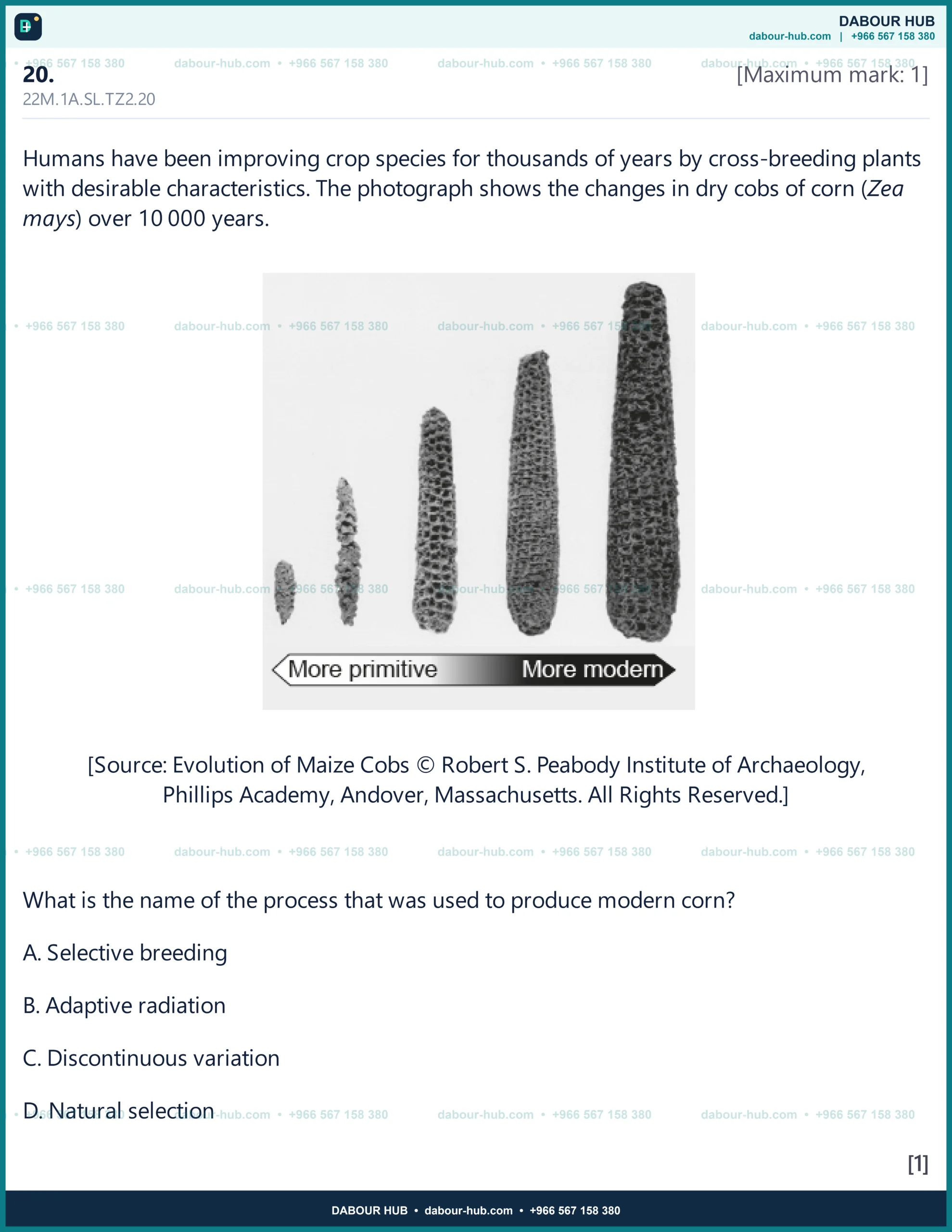 Dr Dabour Hub Academy - figure 5