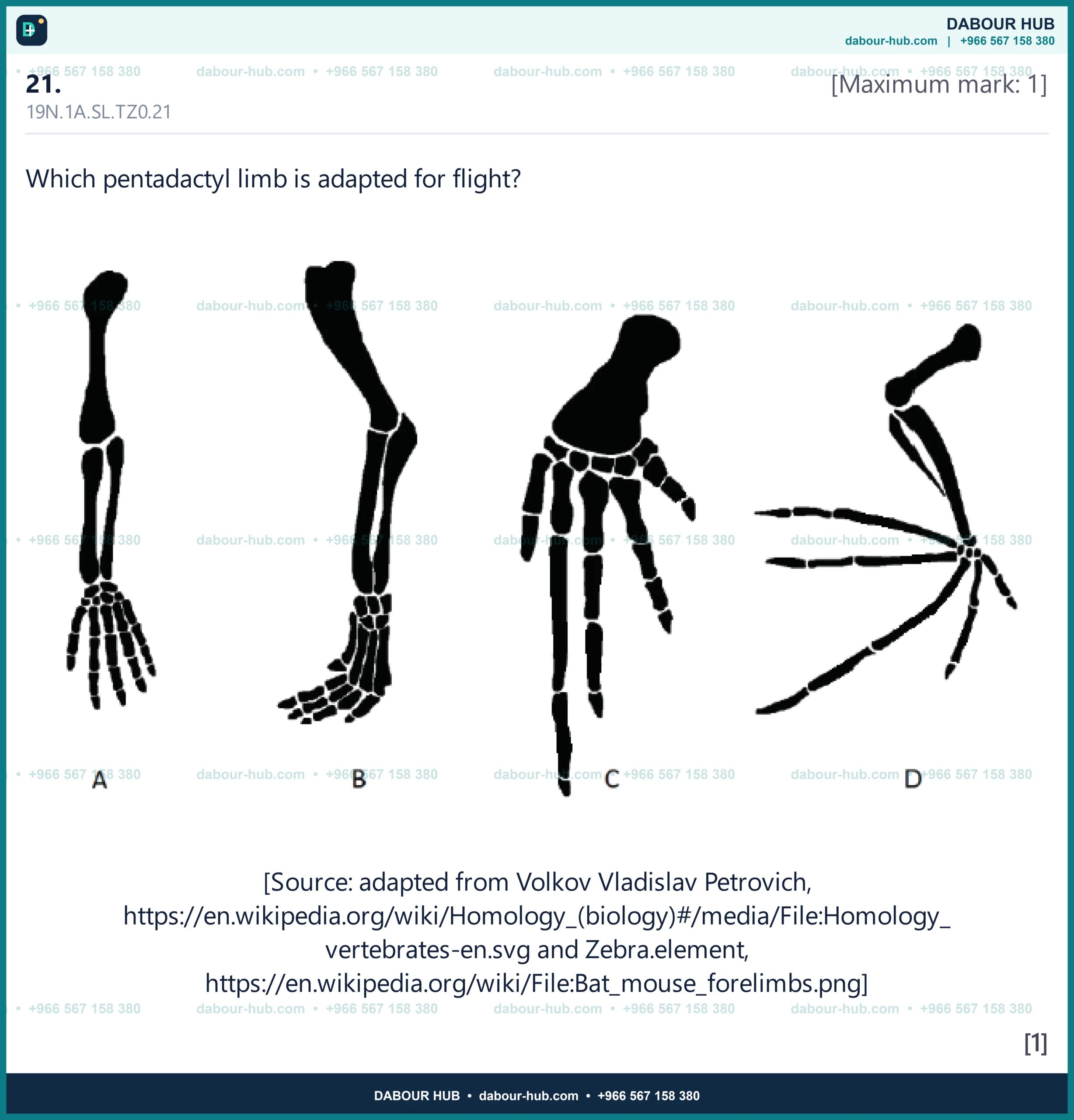 Dr Dabour Hub Academy - figure 8