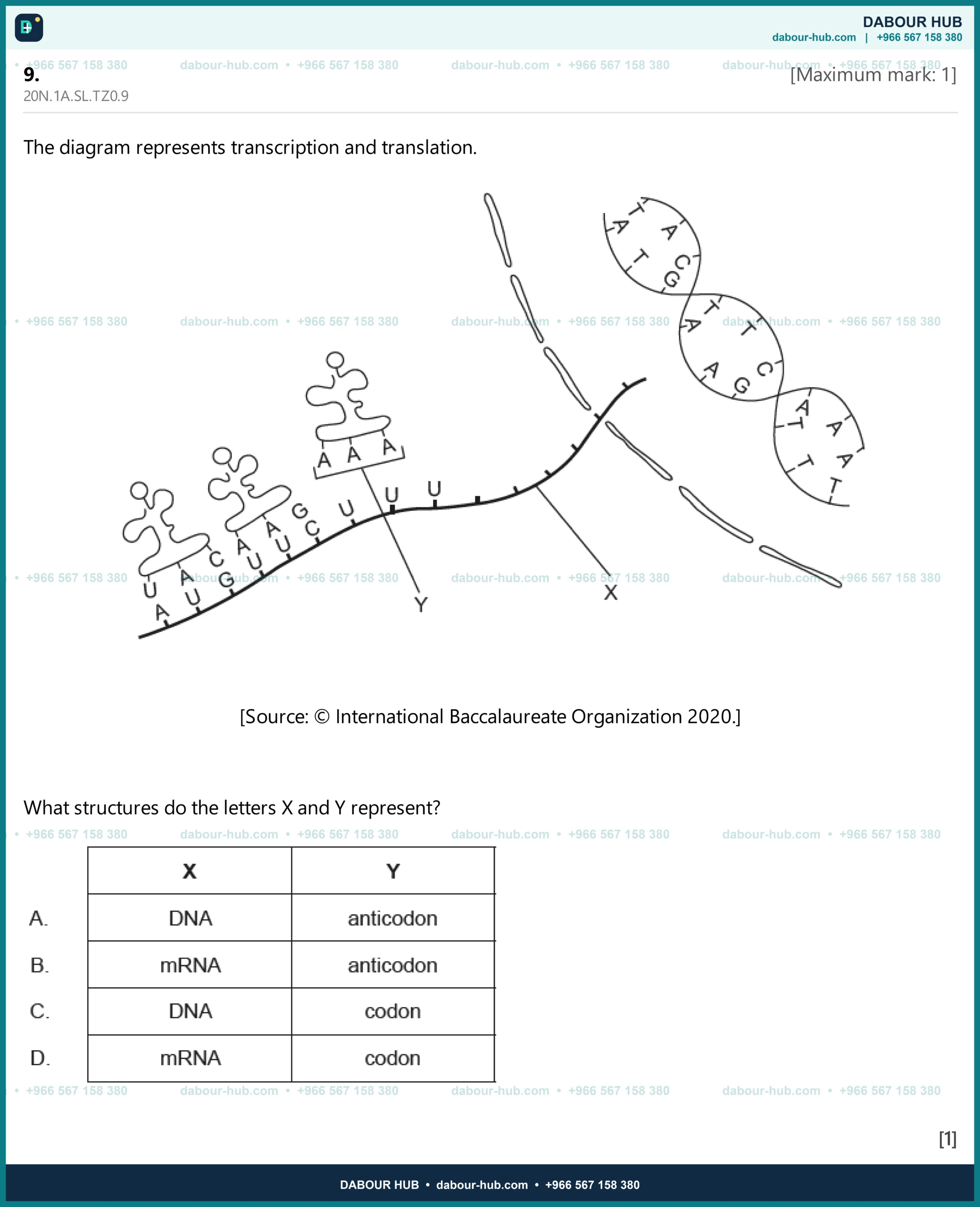 Dr Dabour Hub Science Diagram and Course Material
