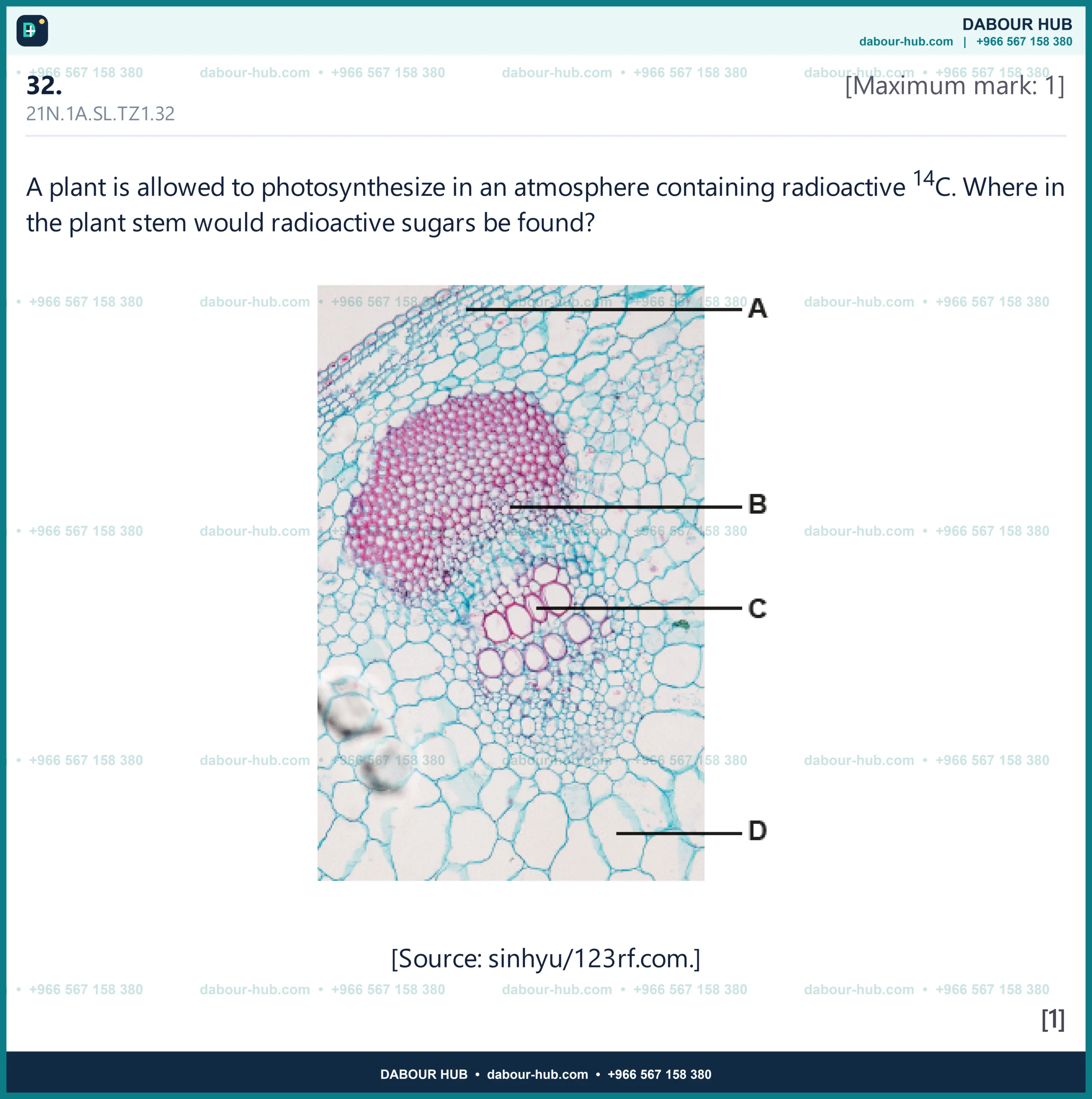 Dr Dabour Hub Science Diagram and Course Material